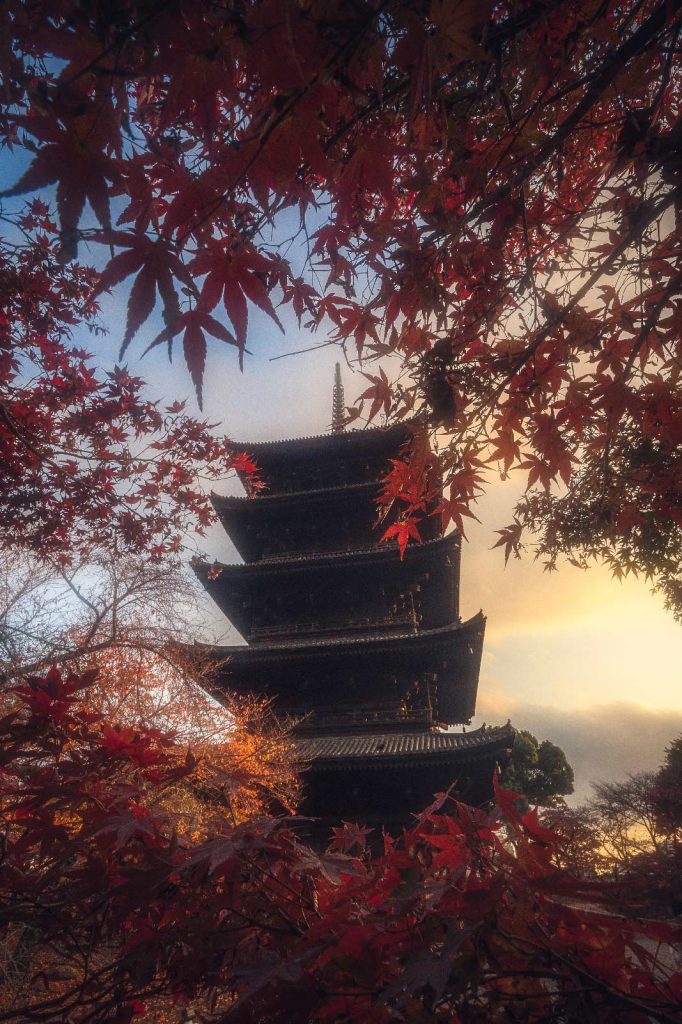 Toji Temple, Kyoto